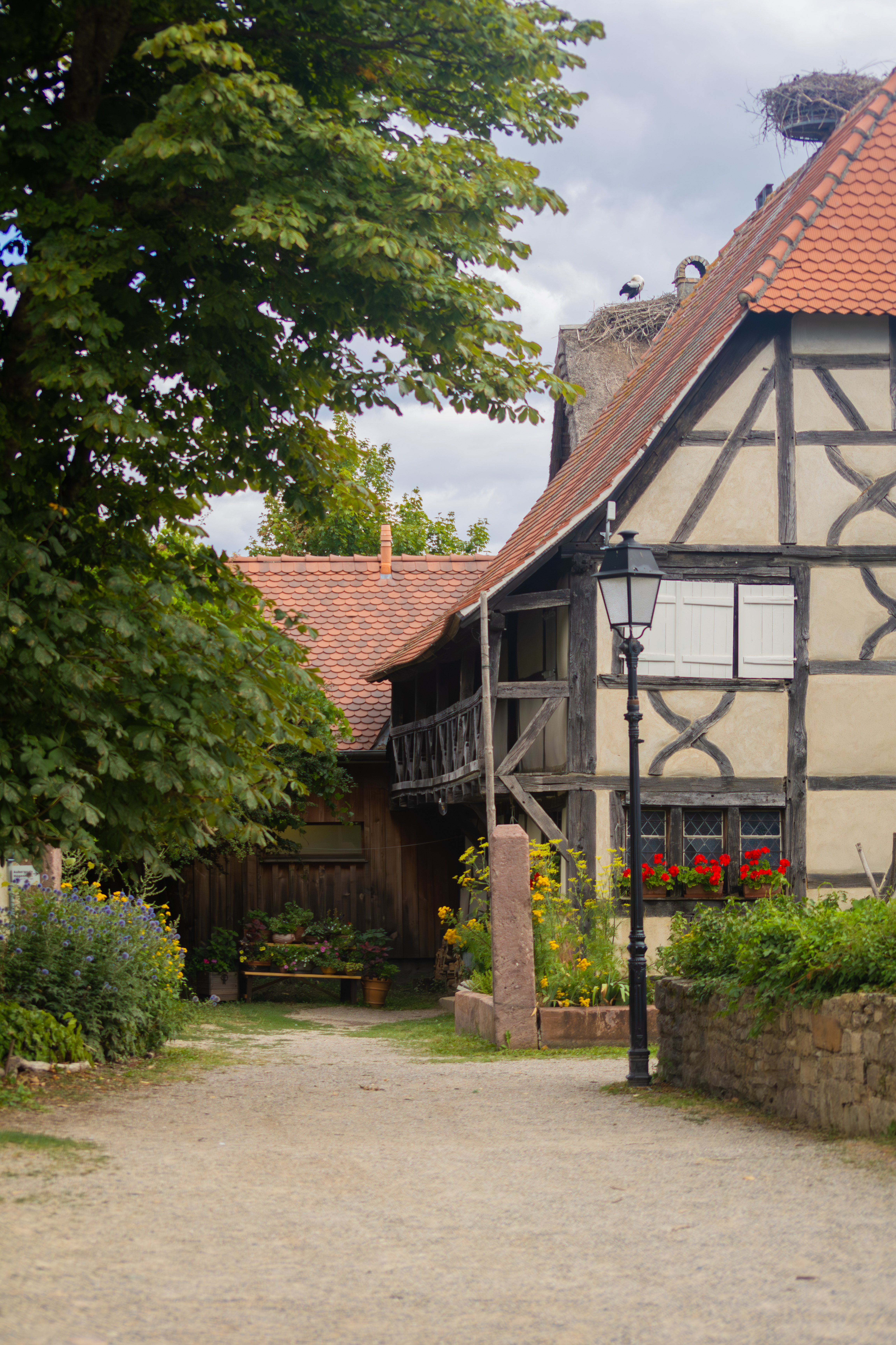 Écomusée d'Alsace